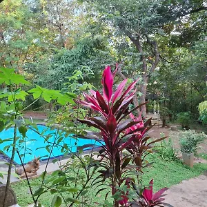 Villa Habarana , Habarana Sri Lanka